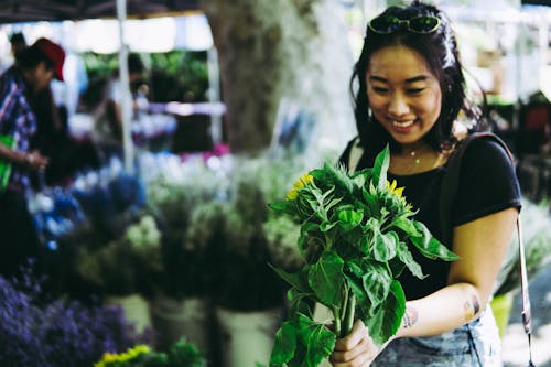 Free Photo of Woman Holding Plants Stock Photo