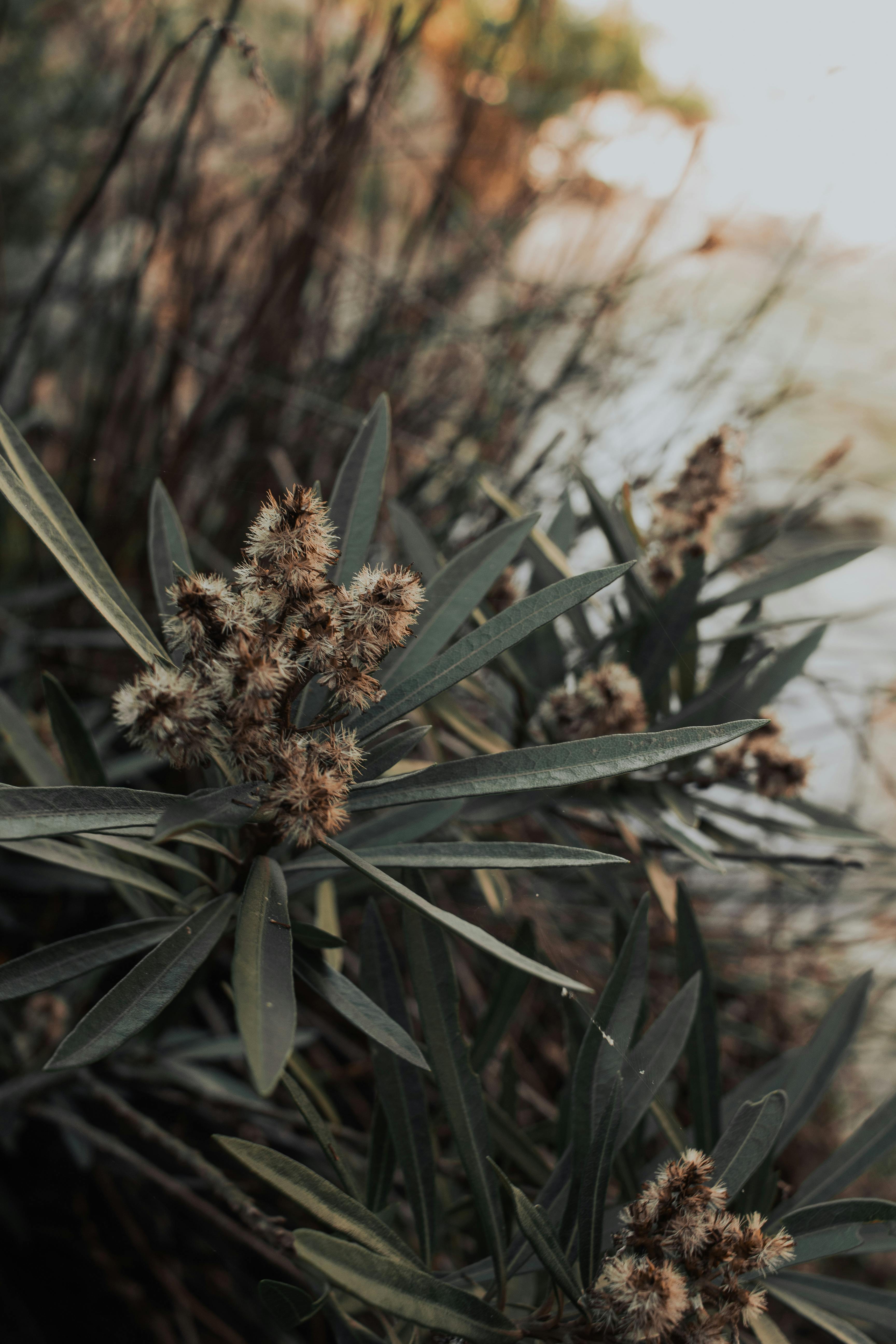 磷脂行业龙头企业，寻财务投资人-艾格农业投融资平台