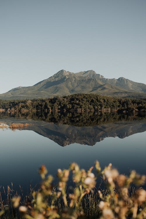 Kostenloses Stock Foto zu berg, fluss, klarer himmel