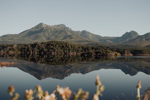 Foto stok gratis bukit, danau, hutan