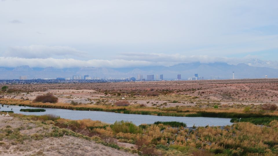 Scenic desert landscape with skyline view in Henderson, NV, USA, featuring desert flora and clouds.