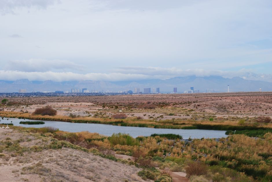 Stunning Grand Canyon Helicopter Tour and River Raft or Emerald Cave Kayak Review 2026 - Scenic desert landscape with skyline view in Henderson, NV, USA, featuring desert flora and clouds.