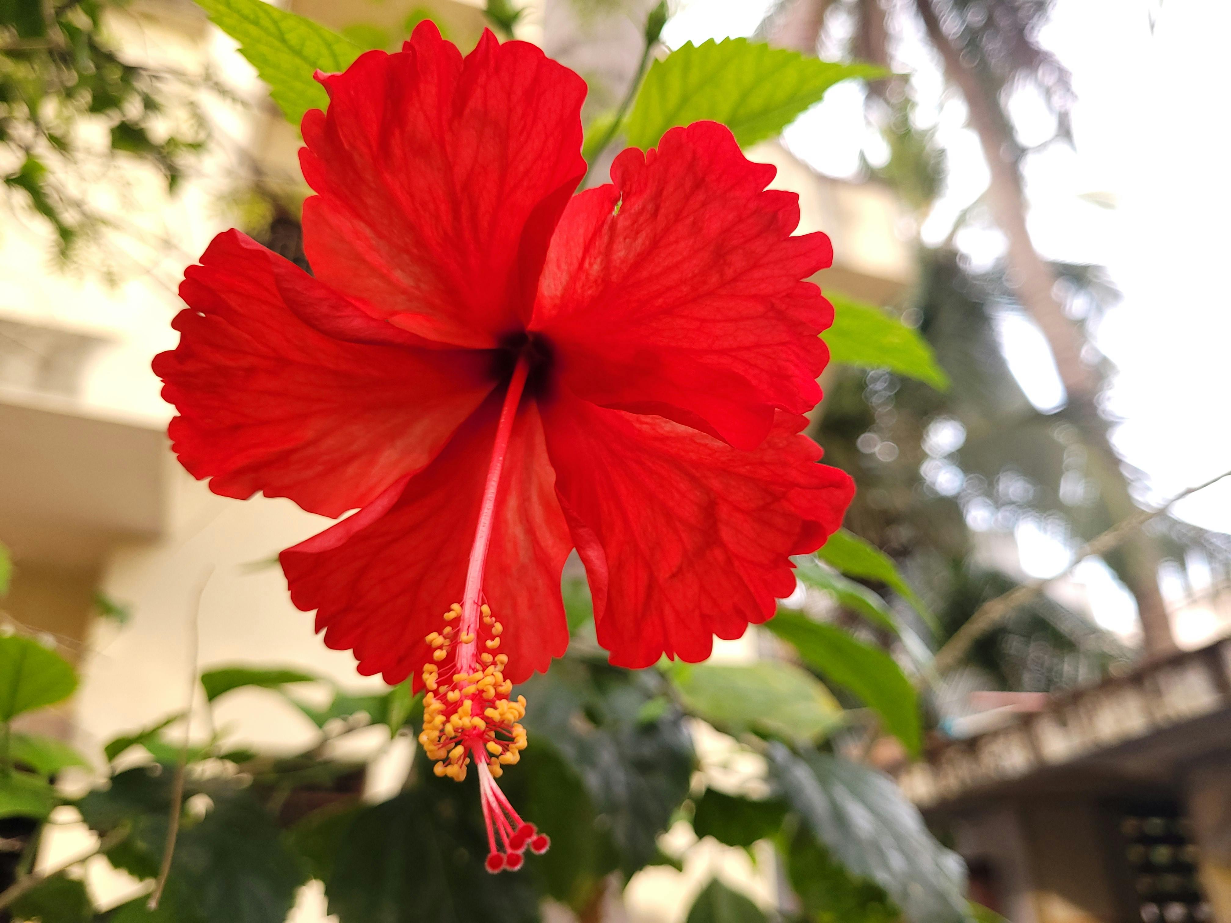 Saravanan Narayanan Fotografie