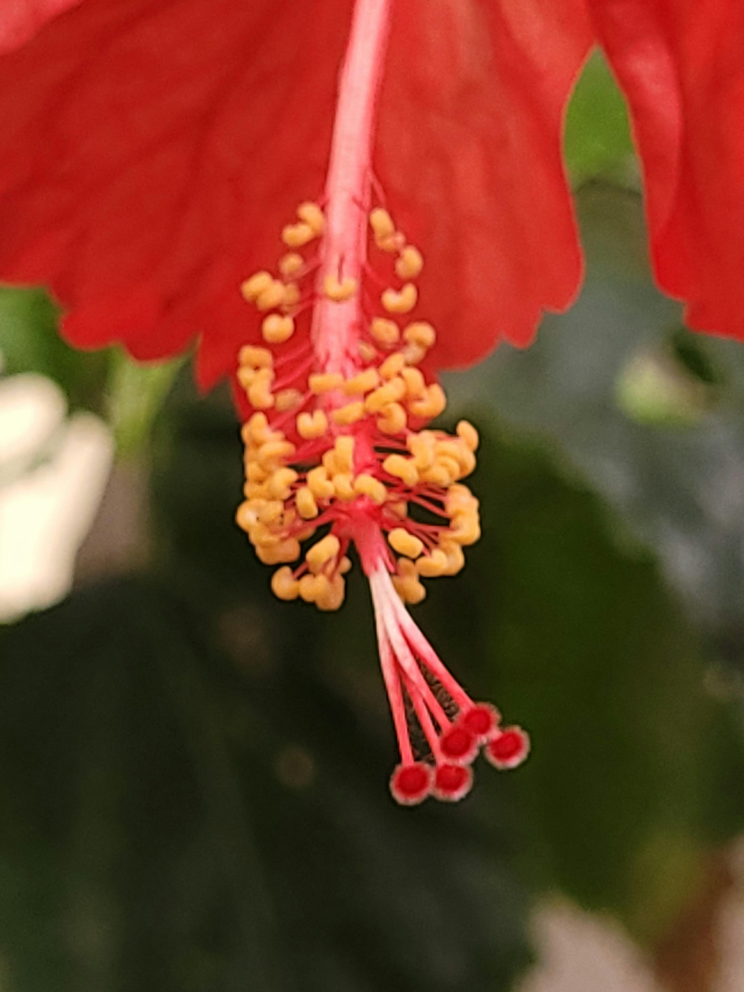 Saravanan Narayanan Fotografie