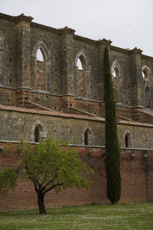 Kostenloses Stock Foto zu abtei von san galgano, alte ruine, christentum