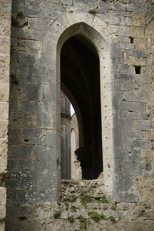 Arched Window of Abandoned Church