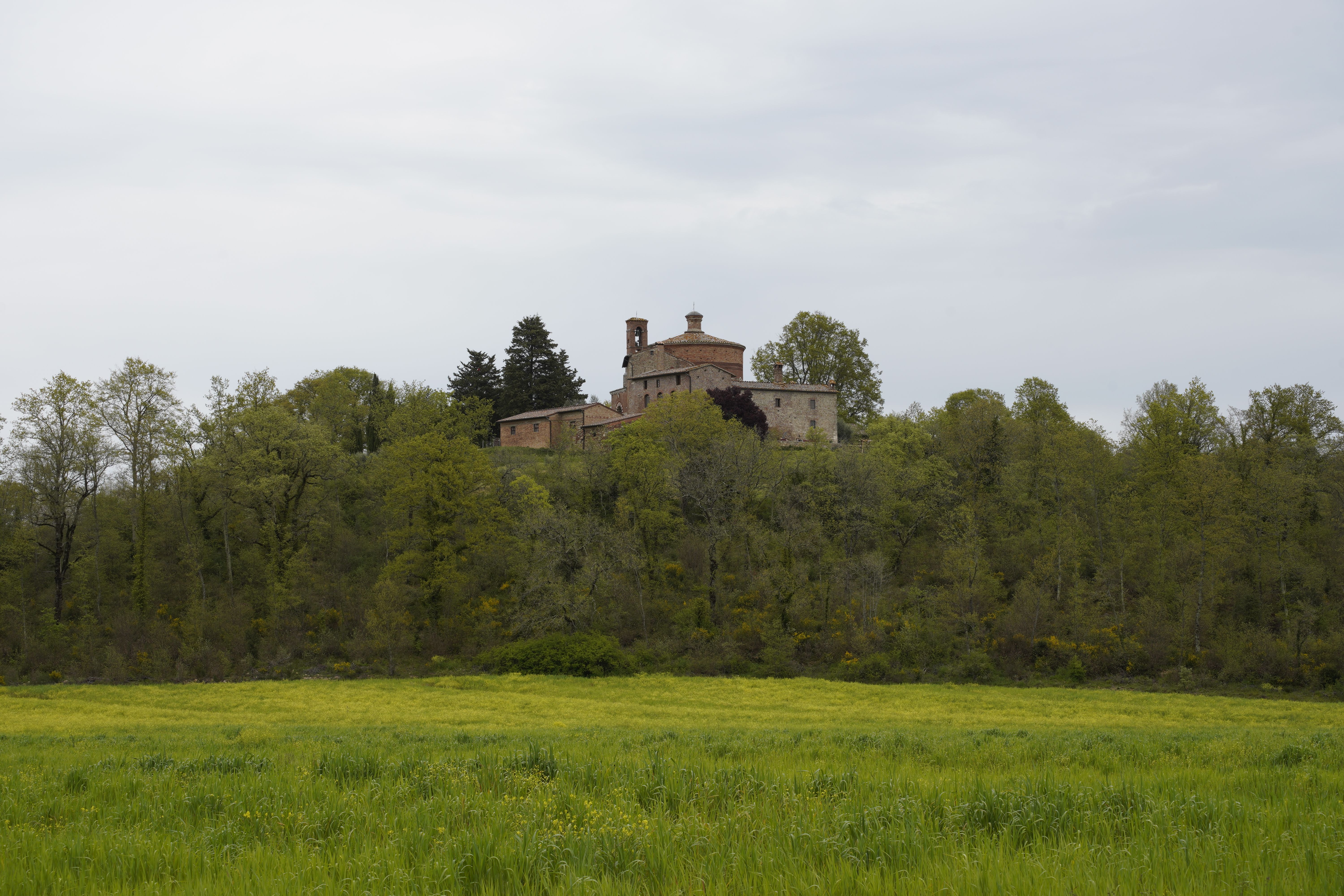 A serene view of a historic abbey surrounded by lush greenery and trees in Italy.