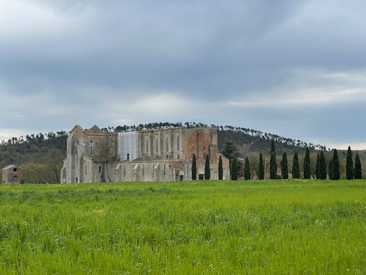 View Of The Abbey Of Saint Galgano