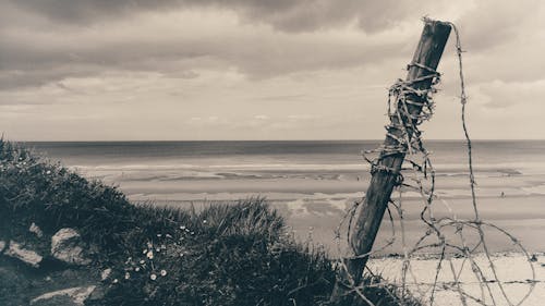 Free stock photo of beach, desembarco, france