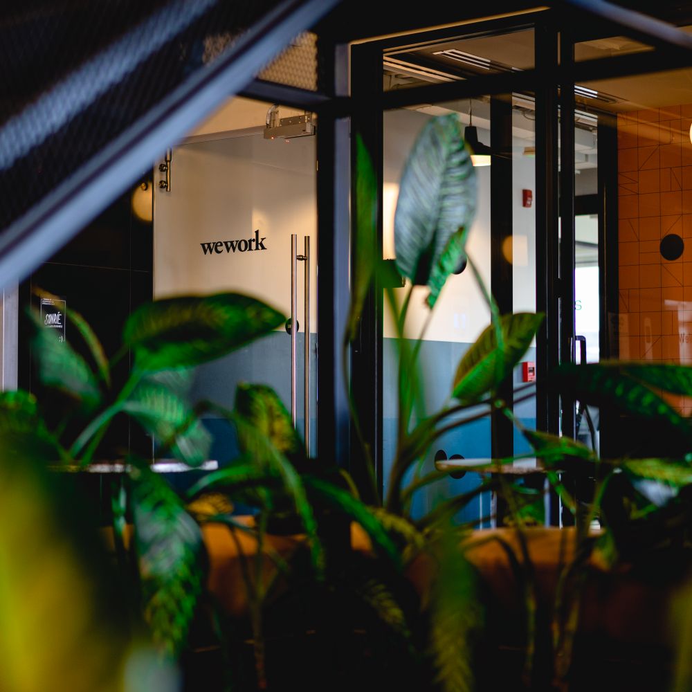 Commercial Decorating in Wimbledon — walls rolled to an even, flat finish