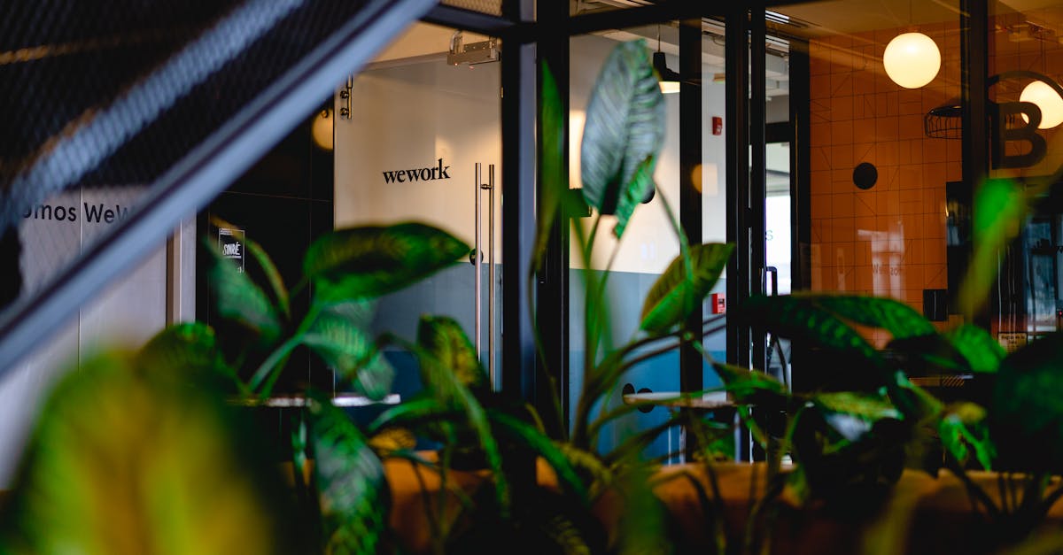 Exploring the Relationship Between Light and Human Health