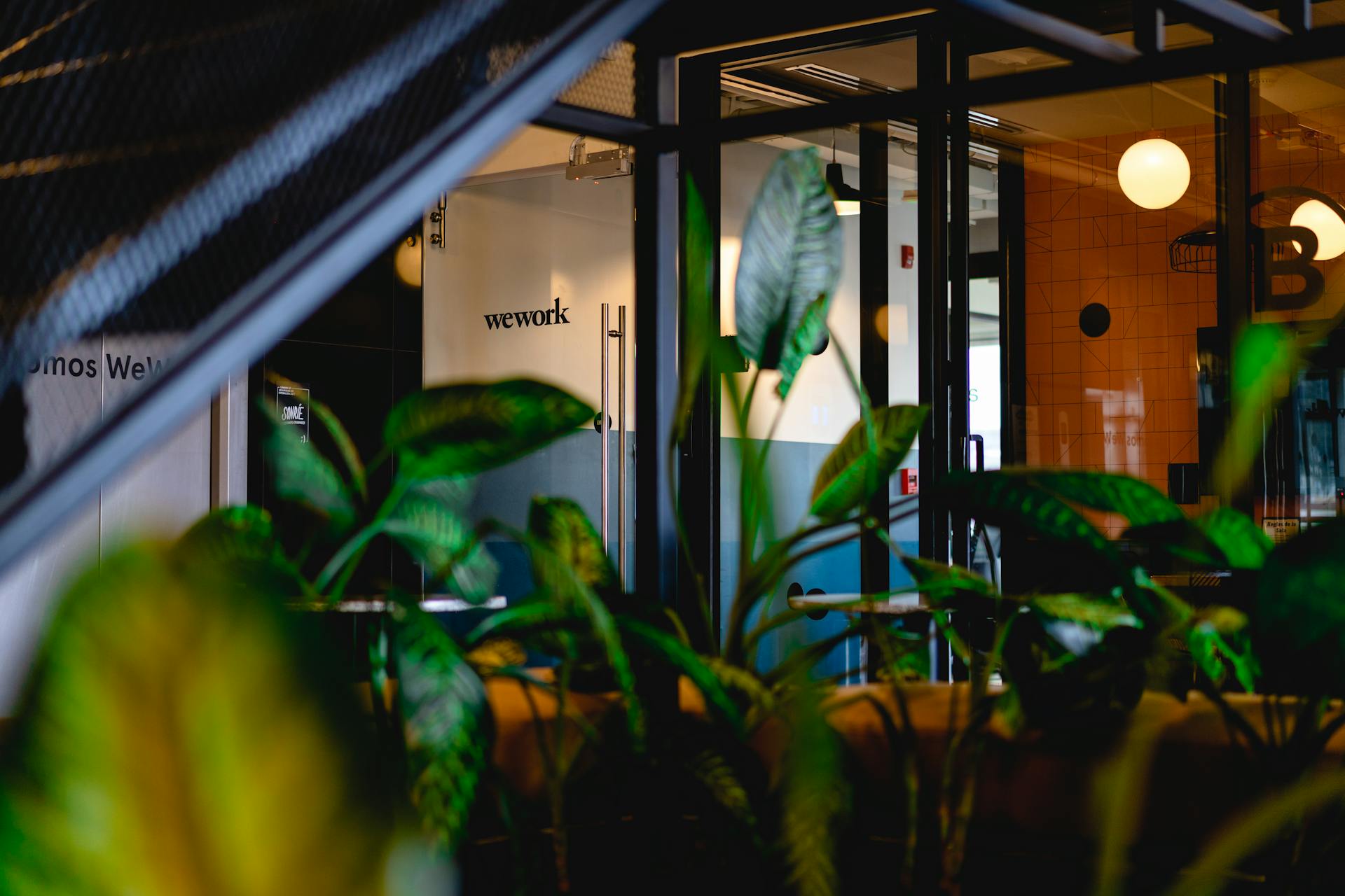 A modern co-working office space featuring abundant greenery and stylish design.