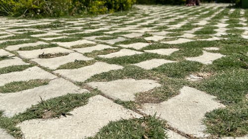 grass green walkway cement blocks
