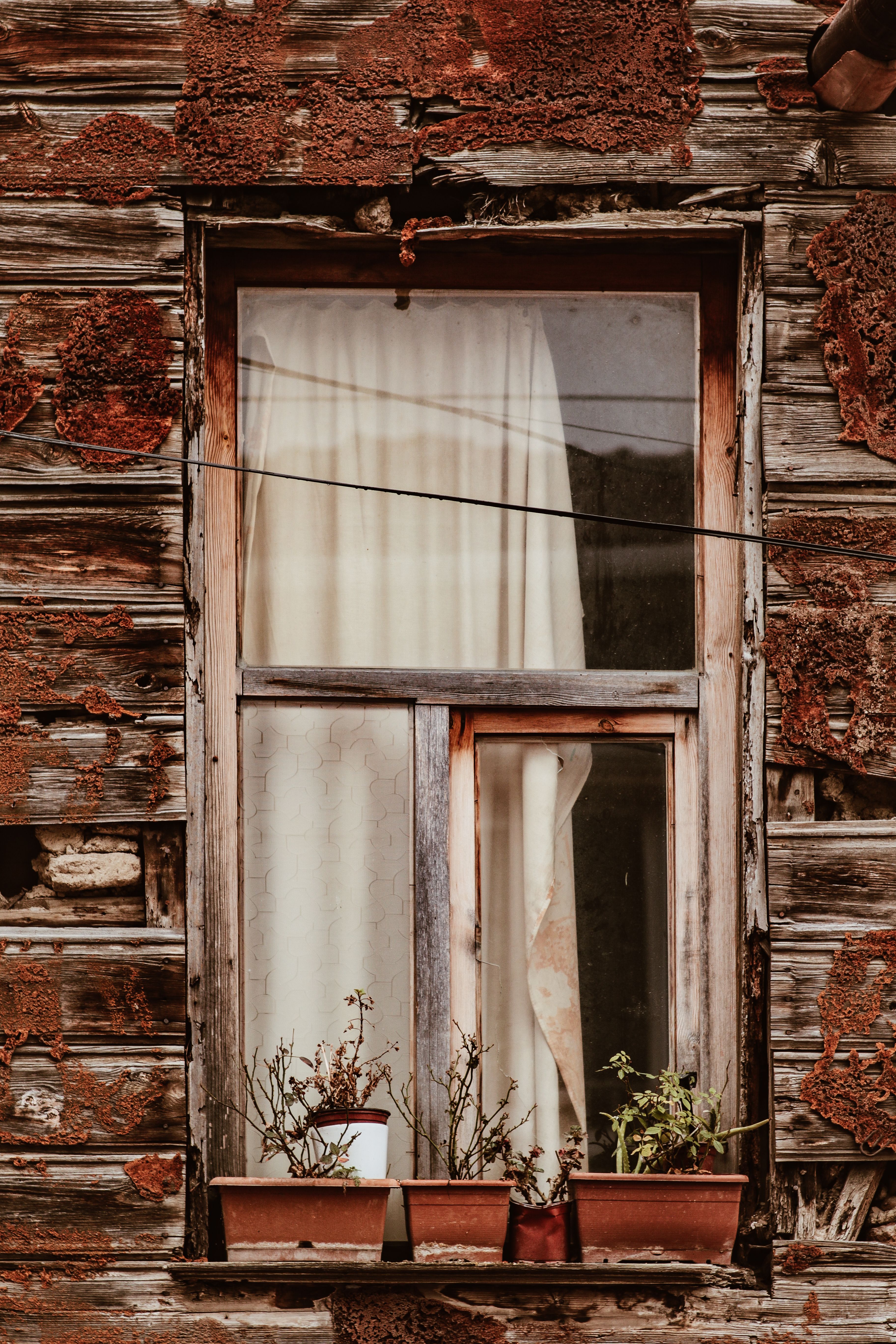 Photo by Yakup  Polat on pexels