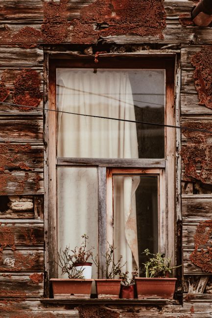 Photo by Yakup Polat on pexels
