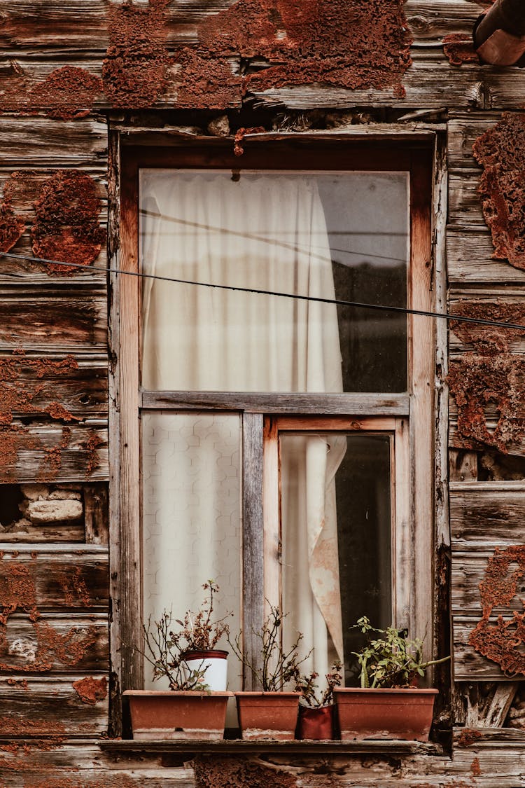 Window In Old Wooden House