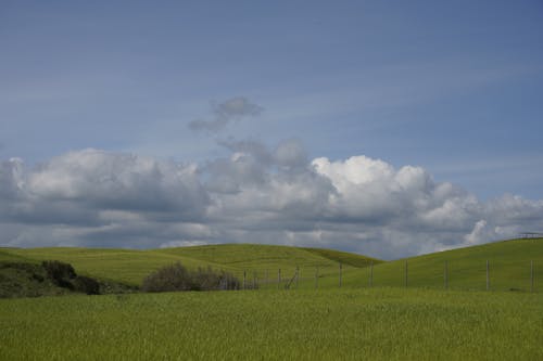 Green Pastures on the Hills