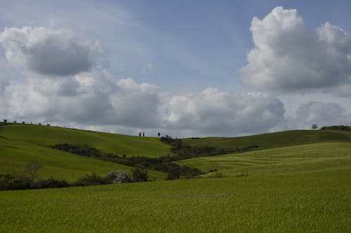 Green Meadows on the Hills