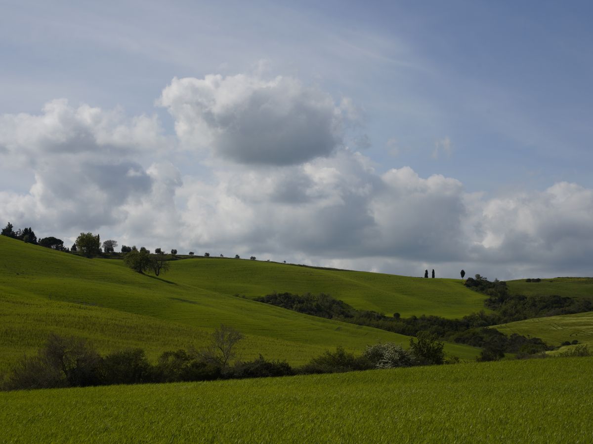 7 Day All-Inclusive Art, Yoga,& Cooking Retreat in Tuscany, Italy 2