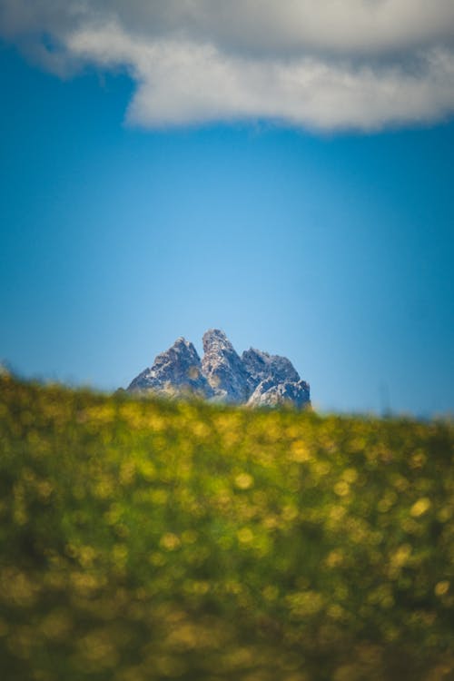 Δωρεάν στοκ φωτογραφιών με βουνό, γρασίδι, καλοκαίρι