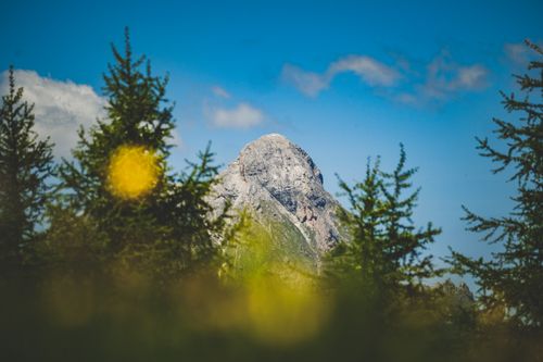 Free A stunning view of a mountain peak surrounded by lush green trees under a clear blue sky. Stock Photo