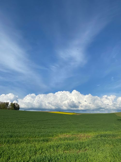Free Expansive green field beneath a clear blue sky with fluffy clouds, capturing serenity and open landscapes. Stock Photo