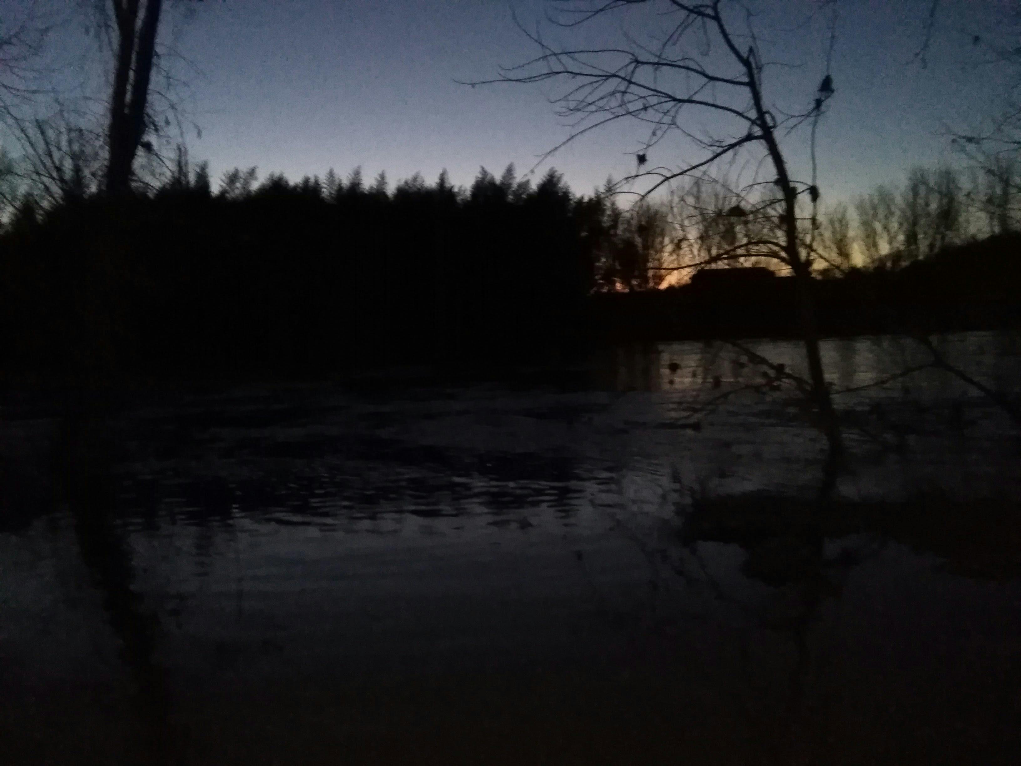 Free stock photo of darkness, pond, southern