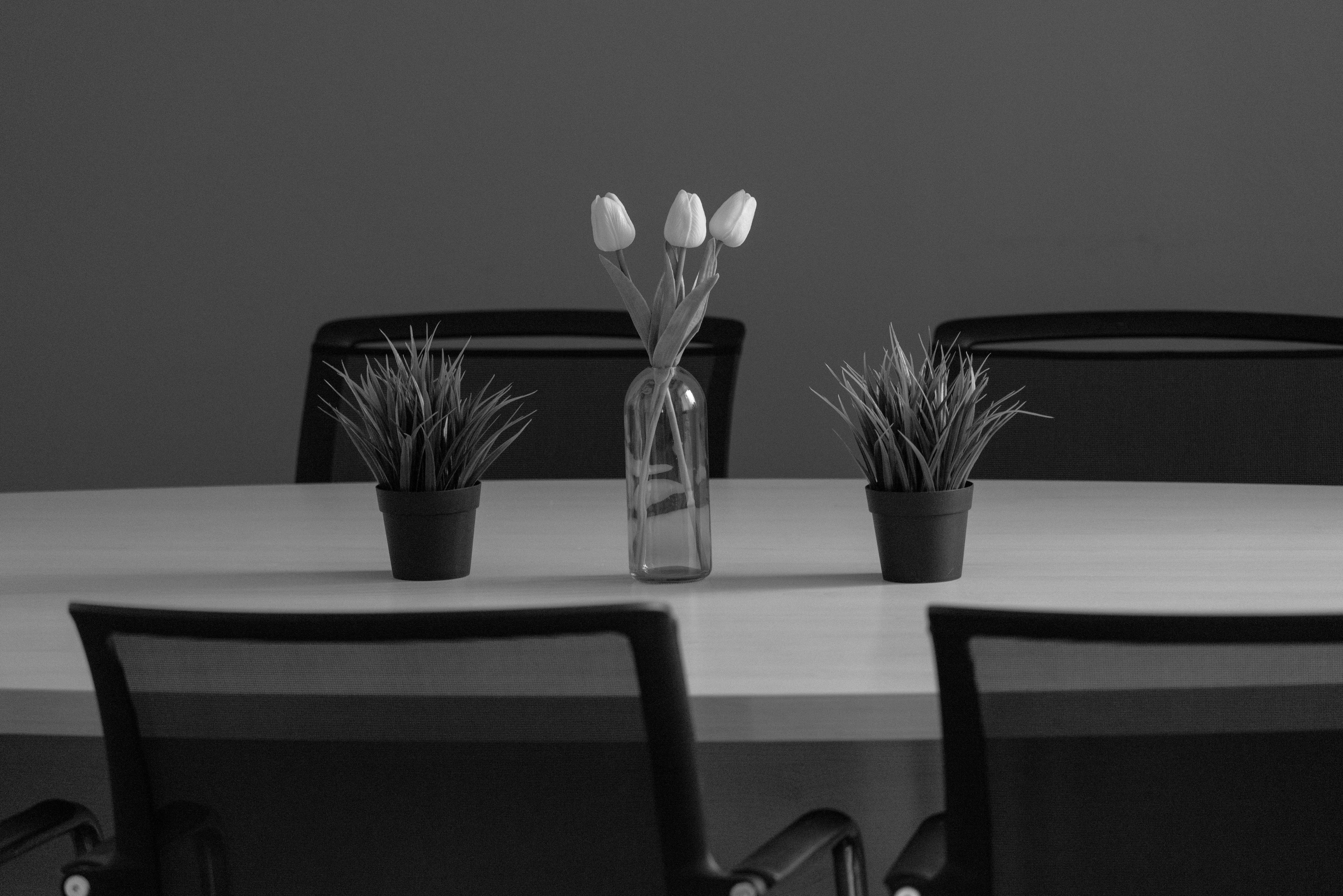 Jessica Alba’s Organic Dining Room: Sleek Contemporary Meets Timeless Elegance for Perfect SEO