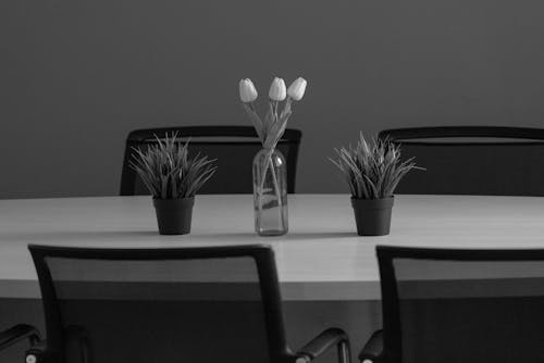 Potted Plants and a Vase with Tulips on the Table 