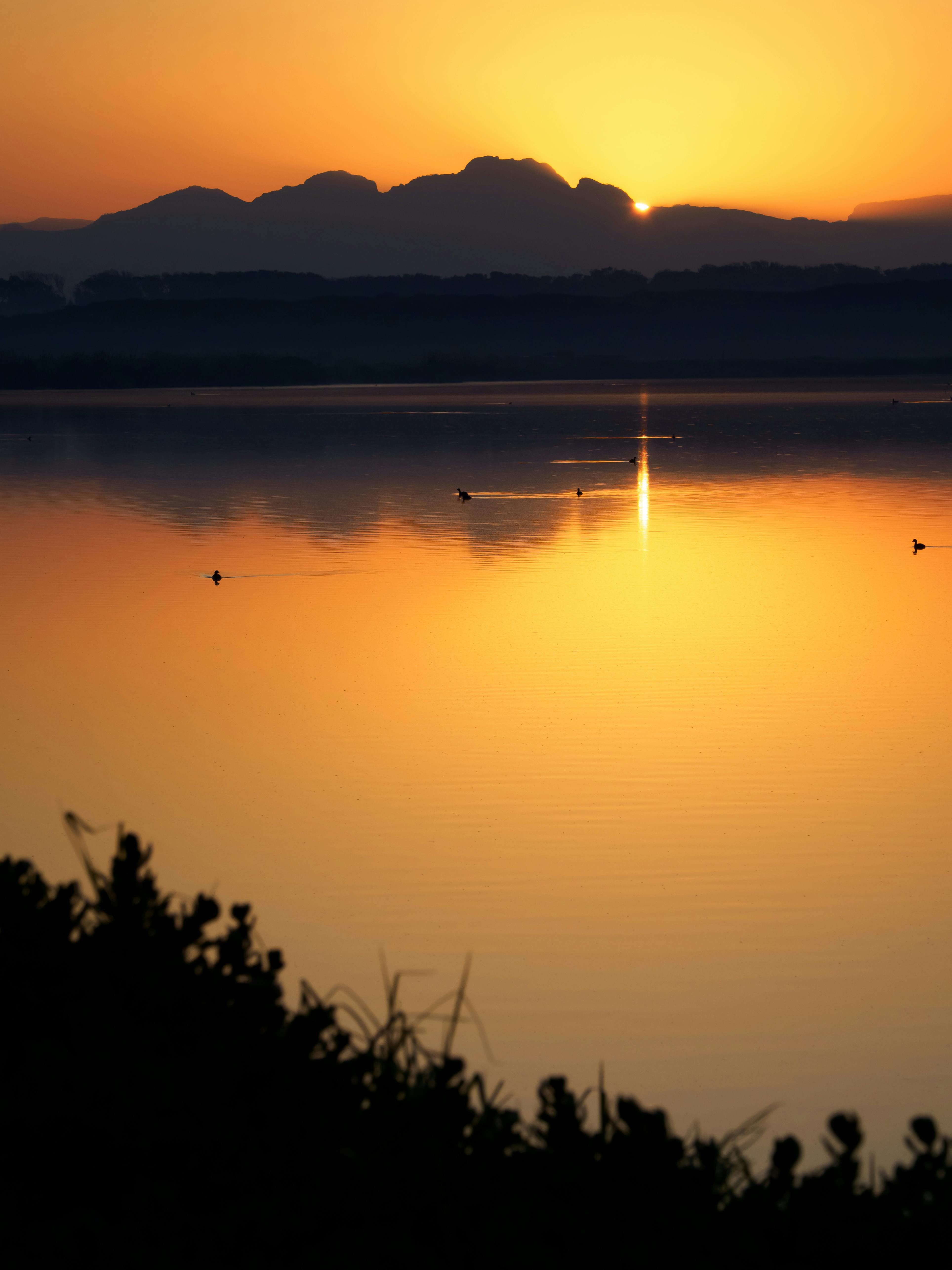 Lake During Golden Sunset