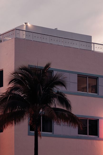 A stylish pink building with a palm tree against a sunset sky, embodying a tropical urban vibe.
