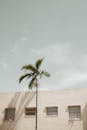 Building Exterior and a Palm Tree
