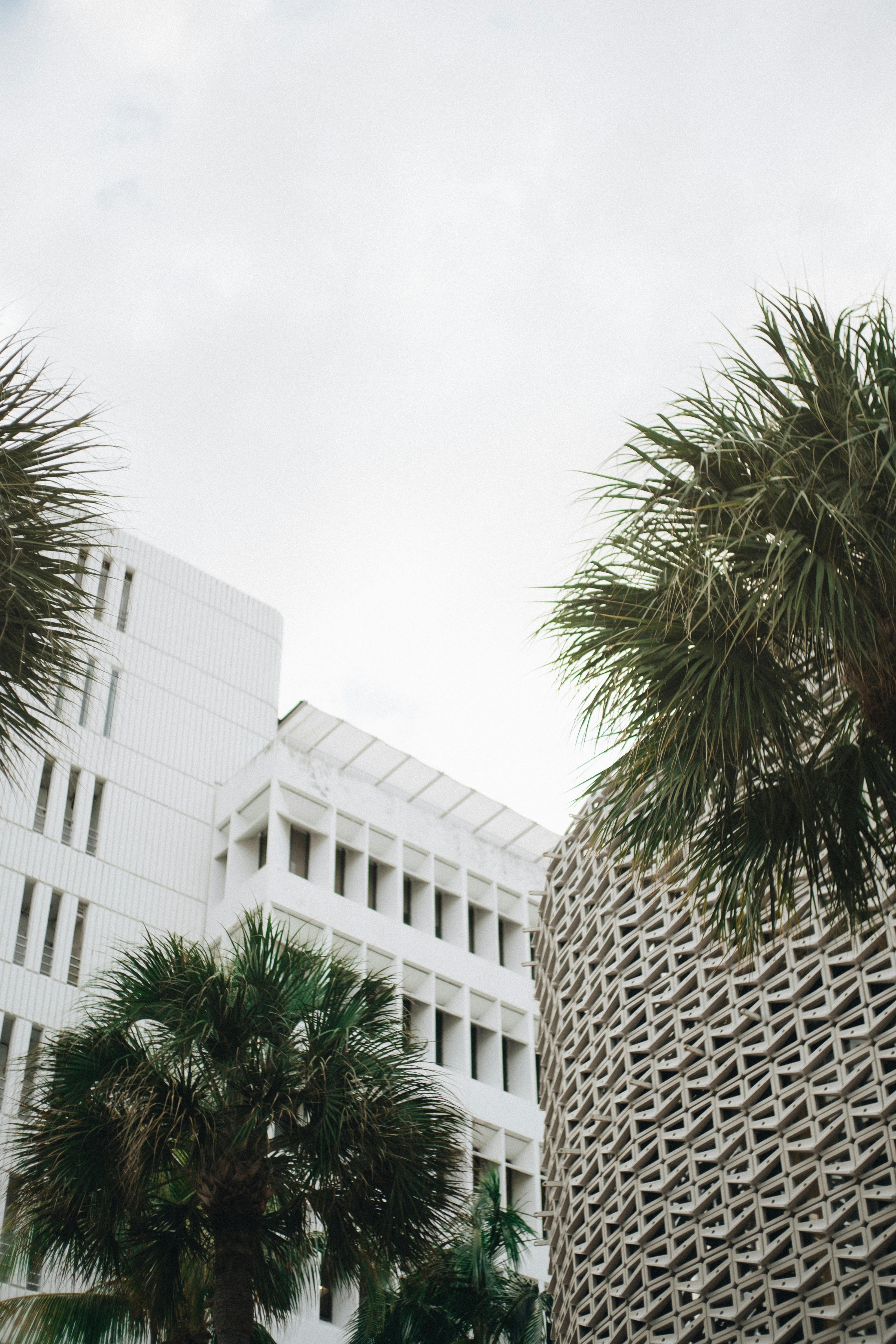 Contemporary urban scene with modern buildings and palm trees under a cloudy sky.