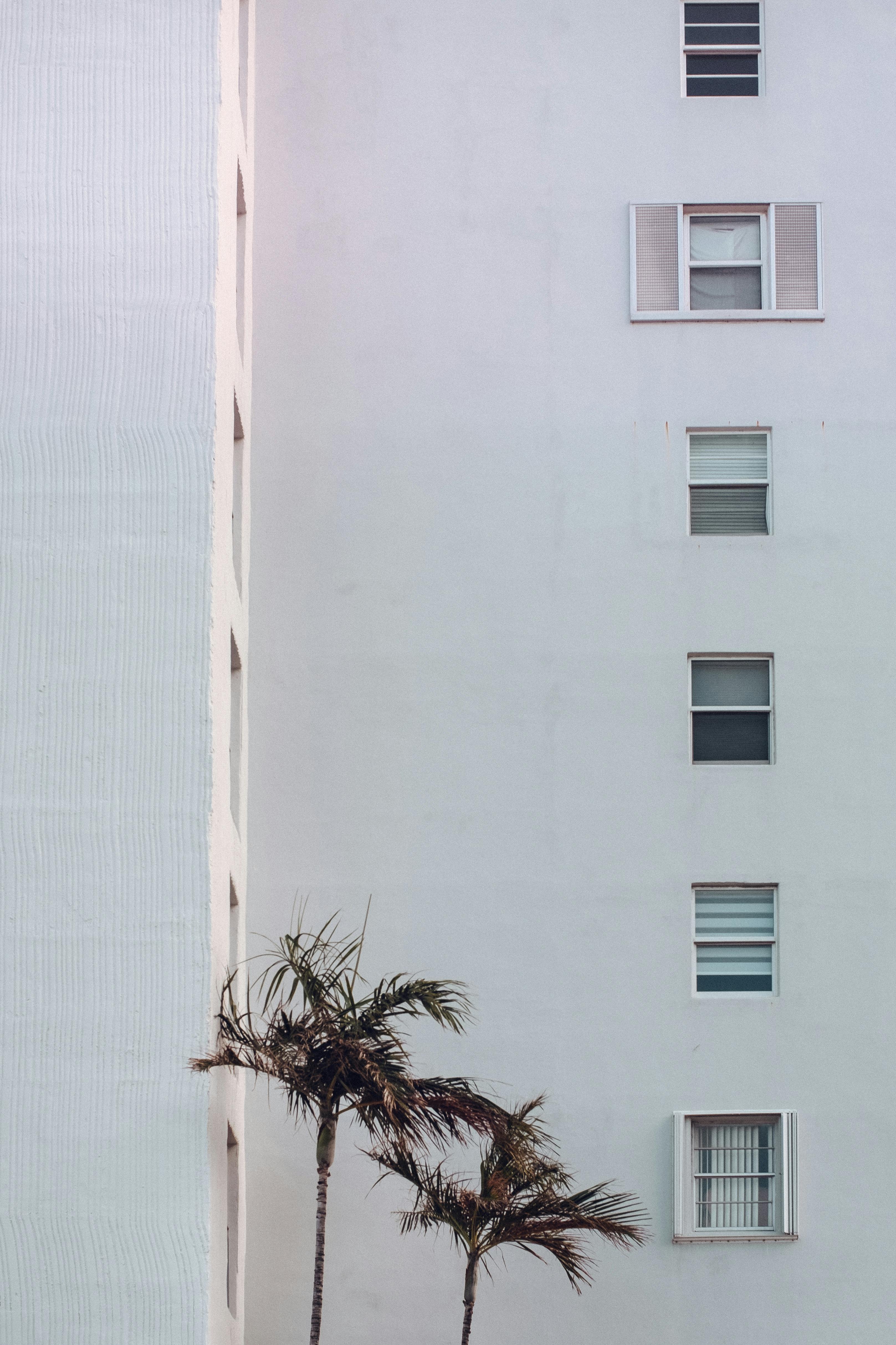 A modern white building facade with palm trees, showcasing architectural simplicity.