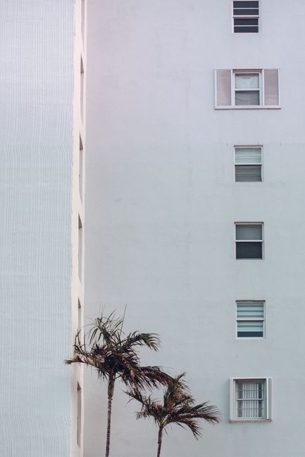 A modern white building facade with palm trees, showcasing architectural simplicity.