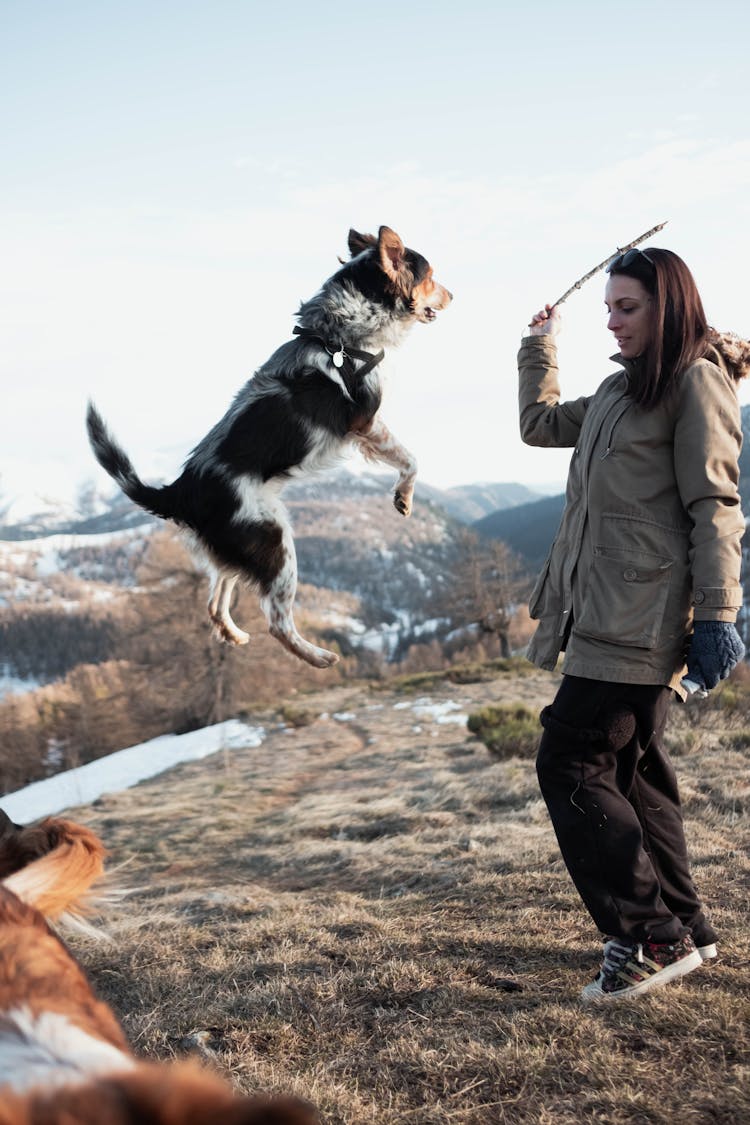 A Woman Playing With Dog In A Mountain Valley