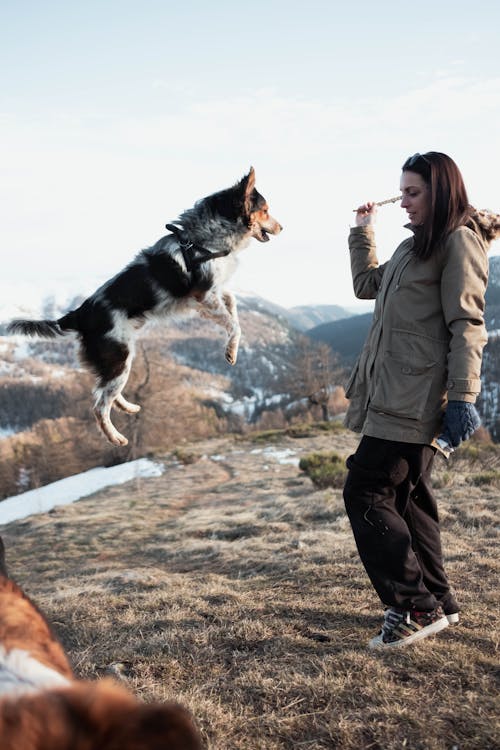 Woman Playing with Dogs Outdoors 