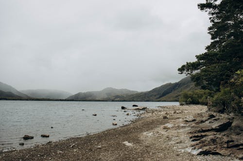 多雲的, 天性, 岸邊 的 免費圖庫相片