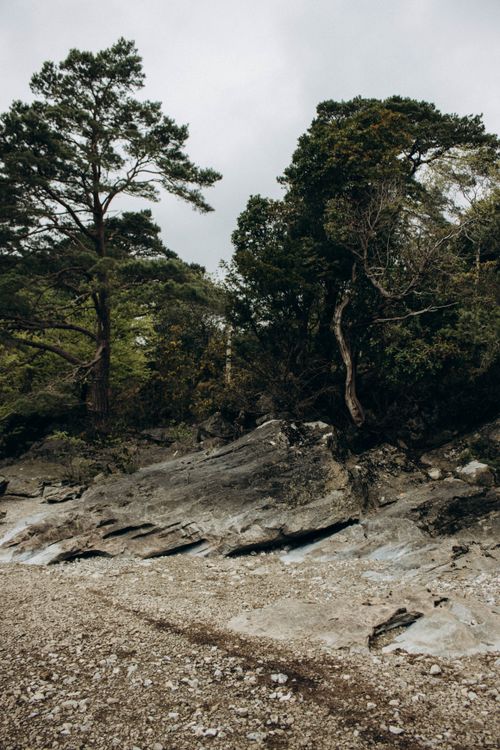 Free Explore a tranquil rocky shoreline bordered by dense trees under a cloudy, overcast sky. Stock Photo
