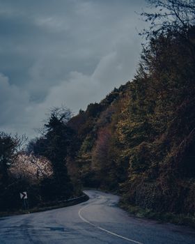 A winding road curves through a lush forest under overcast skies, creating a moody atmosphere.