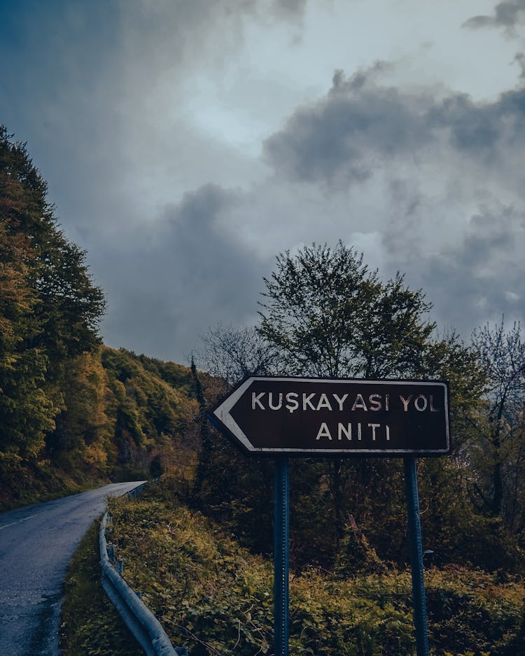 A Road Sign Showing The Directions On The Road Between Trees