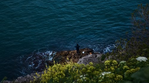 Бесплатное стоковое фото с берег, море, океан