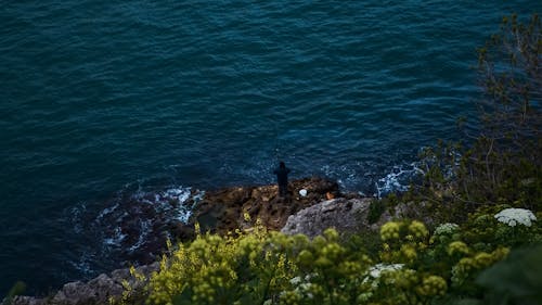 Immagine gratuita di costa, mare, oceano