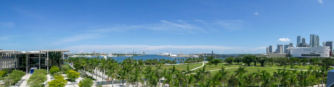 俯瞰郁郁葱葱的绿色公园和清澈的蓝天，探索充满活力的迈阿密天际线