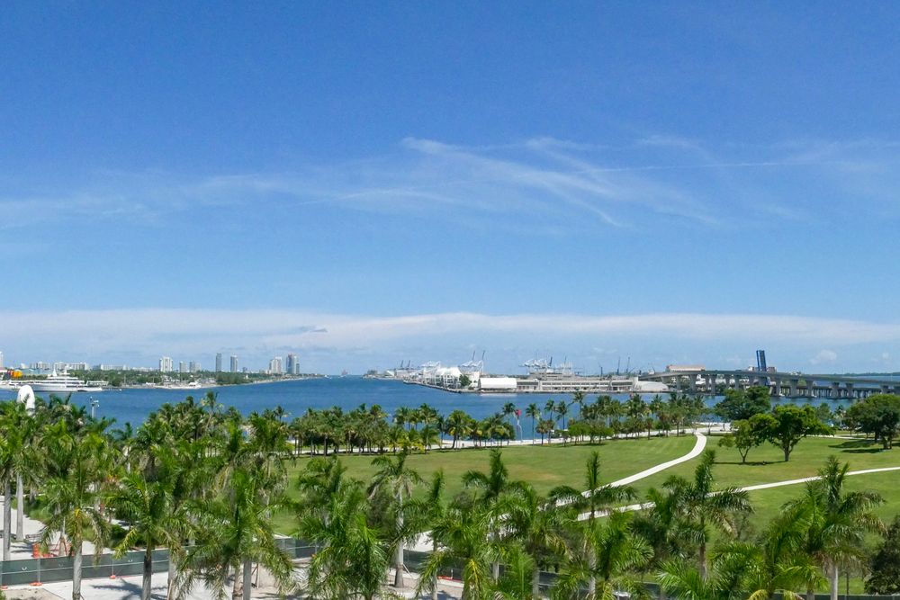 Discover the vibrant Miami skyline overlooking lush green parks and clear blue skies.