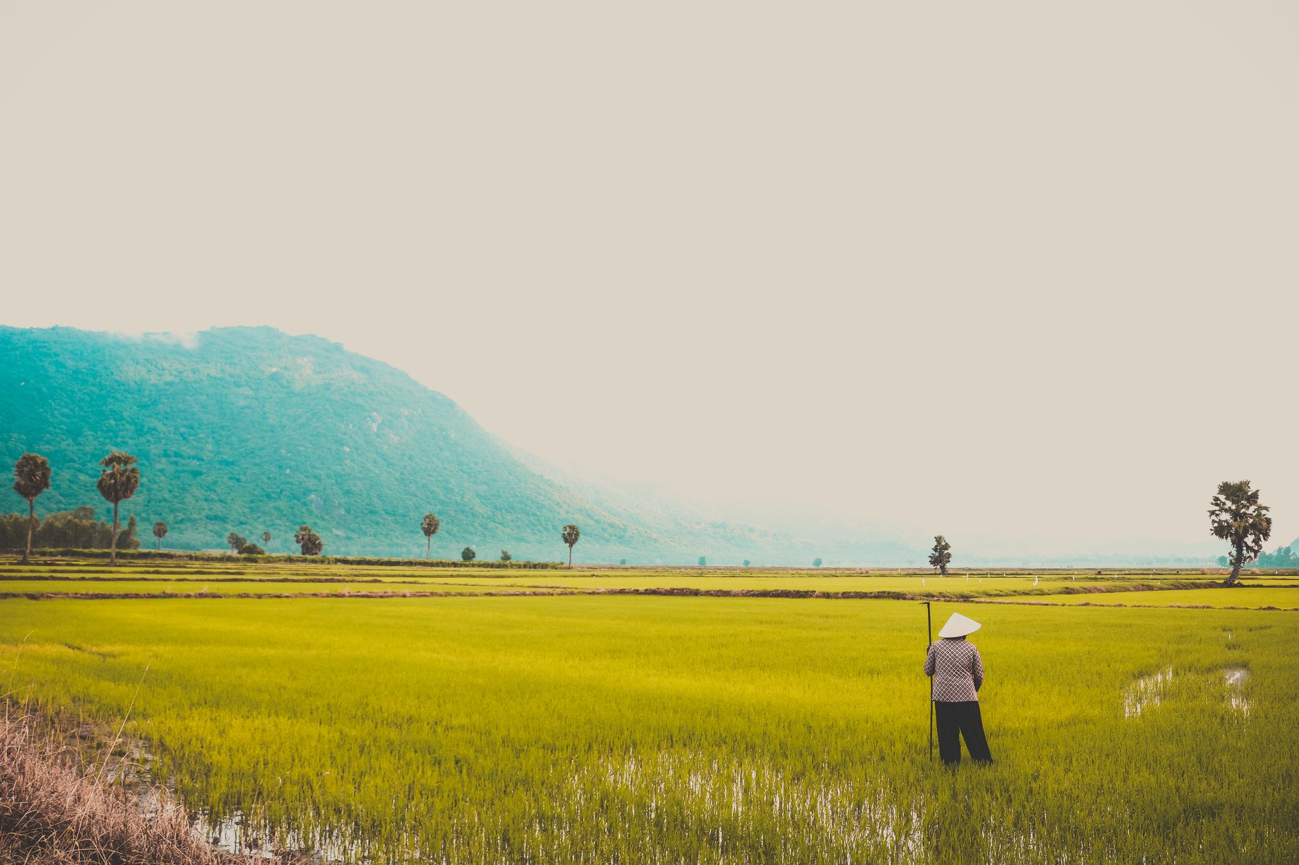 Hỗ trợ đến 100% kinh phí nghiên cứu và đào tạo cho dự án trong khu nông nghiệp công nghệ cao Hỗ trợ đến 100% kinh phí nghiên cứu và đào tạo cho dự án trong khu nông nghiệp công nghệ cao