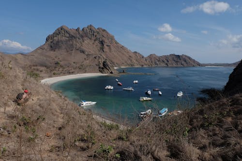 Fotos de stock gratuitas de bahía, cerros, costa