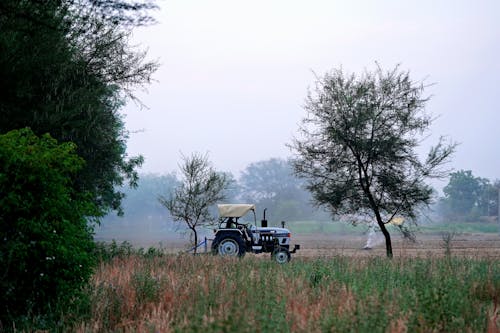 下田, 拖拉機, 樹木 的 免费素材图片