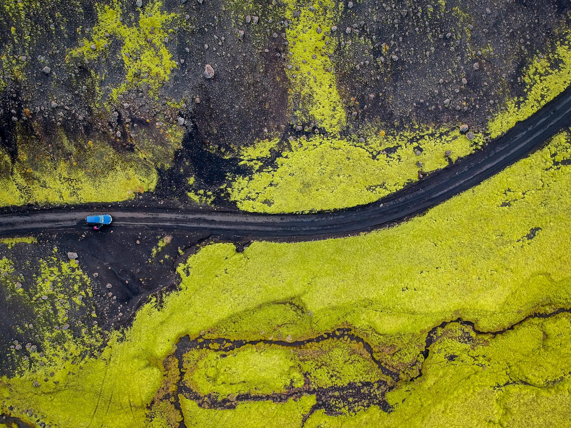 Aerial Photography of Blue Vehicle at Road