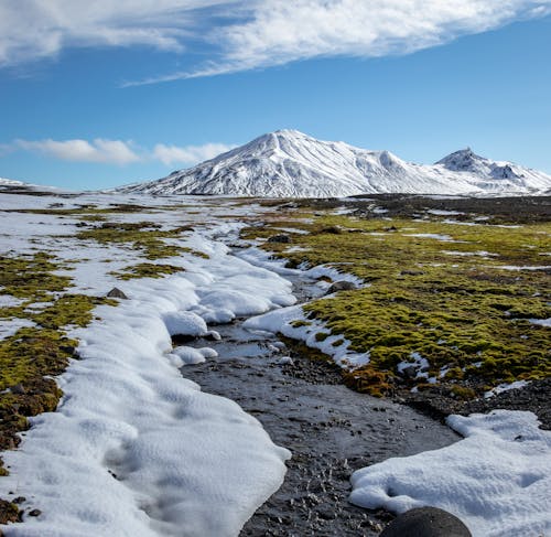 White Snow on Field